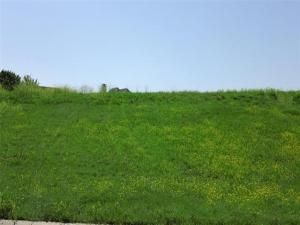 MLS #21002287 image #0