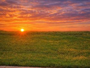 MLS #21002287 image #0
