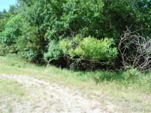 MLS #21003704 image #0