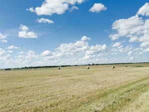 MLS #21009170 image #0