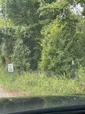 MLS #21014247 image #0