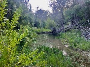 MLS #21015167 image #0