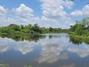 MLS #21021365 image #0