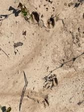 MLS #21026968 image #0