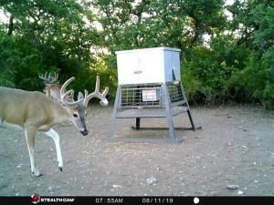 MLS #21027370 image #0