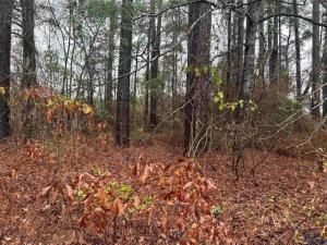 MLS #21027453 image #0