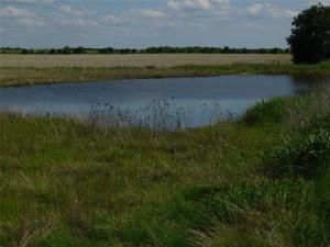 MLS #21027688 image #0