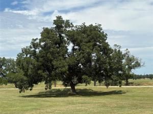 MLS #21037654 image #0