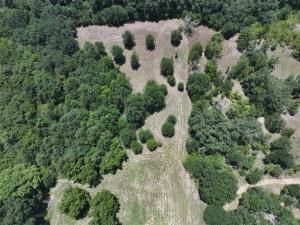 MLS #21039483 image #0