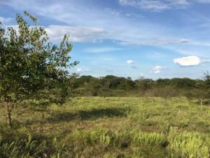 MLS #21043153 image #0