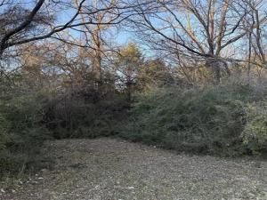 MLS #21045124 image #0