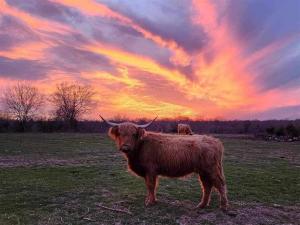 MLS #21046775 image #0