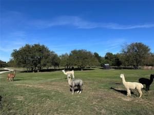 MLS #21046777 image #0