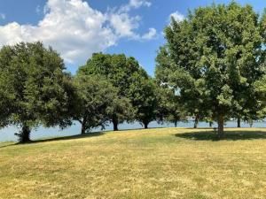 MLS #21048524 image #0