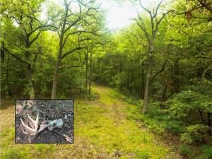 MLS #21049096 image #0