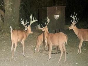 MLS #21055181 image #0