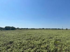 MLS #21057750 image #0