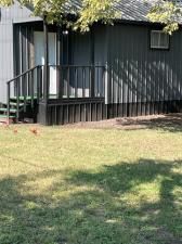 MLS #21059454 image #0