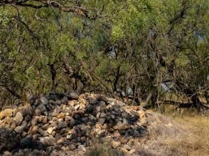 MLS #21060142 image #0