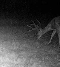 MLS #21061466 image #0