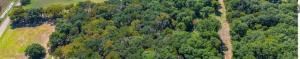 MLS #21066202 image #0