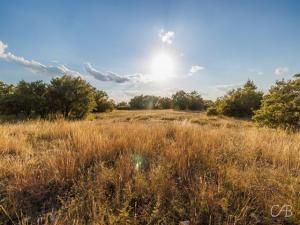 MLS #21068763 image #0