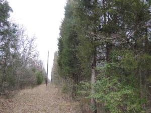 MLS #21071886 image #0