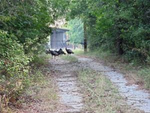 MLS #21074524 image #0