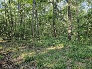 MLS #21075488 image #0