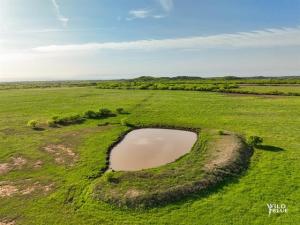 MLS #21077669 image #0