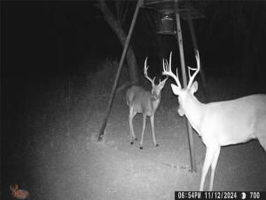 MLS #21078895 image #0