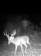 MLS #21085232 image #0