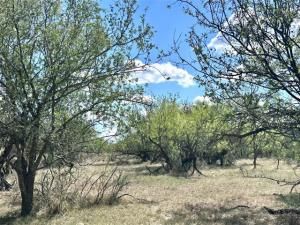 MLS #21087844 image #0