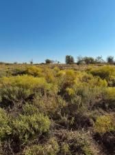 MLS #21089109 image #0