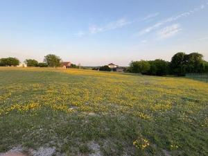 MLS #21090728 image #0