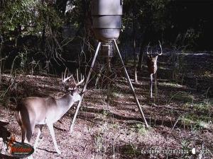 MLS #21097014 image #0