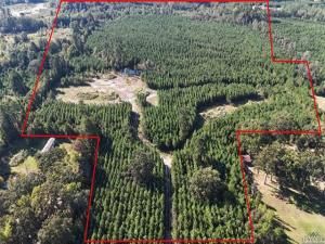 MLS #21097056 image #0