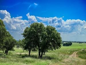 MLS #21099199 image #0