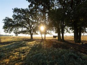 MLS #21100035 image #0