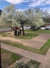 MLS #21102092 image #0