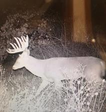 MLS #21102692 image #0