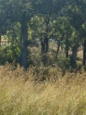 MLS #21102972 image #0