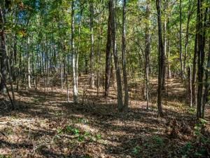 MLS #21103432 image #0