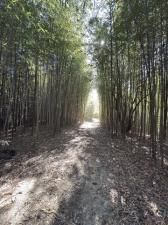 MLS #21106917 image #0