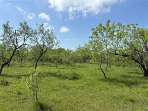 MLS #21113475 image #0