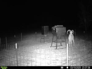 MLS #21114367 image #0