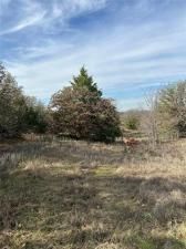 MLS #21115092 image #0