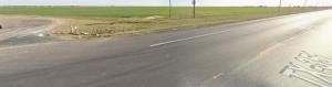 MLS #21134025 image #0