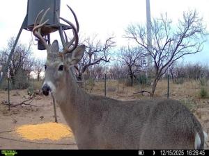 MLS #21139383 image #0