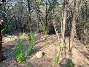 MLS #21146040 image #0